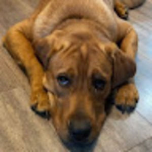 Meet your Posher, Nathan